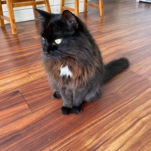 Meet your Posher, Rebecca